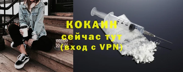 индика Красноперекопск