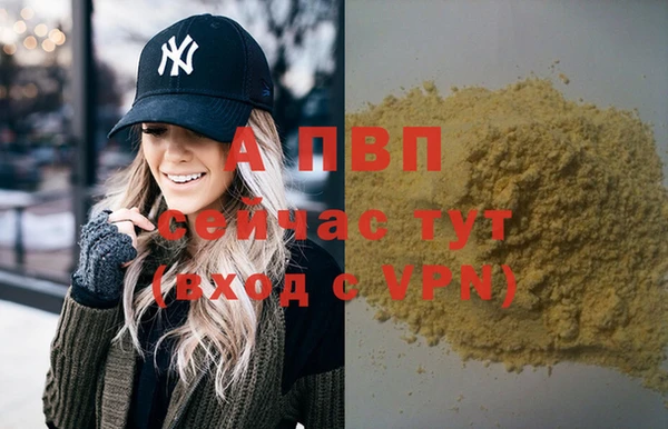 индика Красноперекопск
