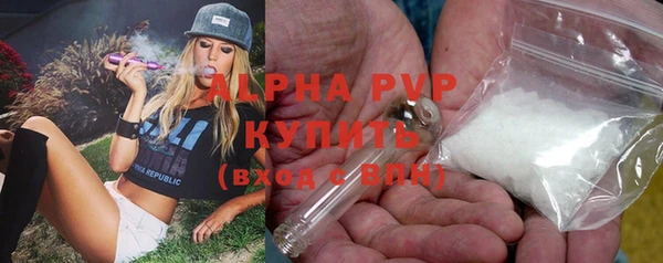 ПСИЛОЦИБИНОВЫЕ ГРИБЫ Краснослободск
