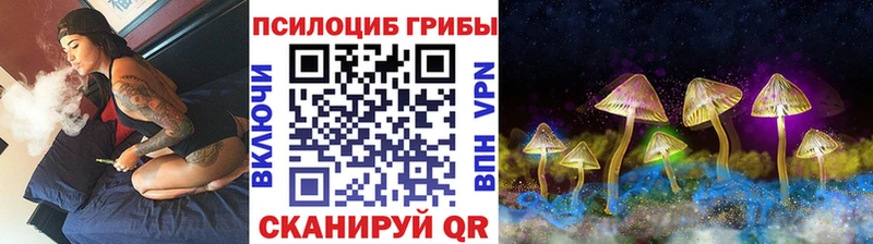 Купить  Полярный  Псилоцибиновые грибы Psilocybine cubensis 